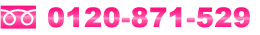 t[_CF0120-871-529
